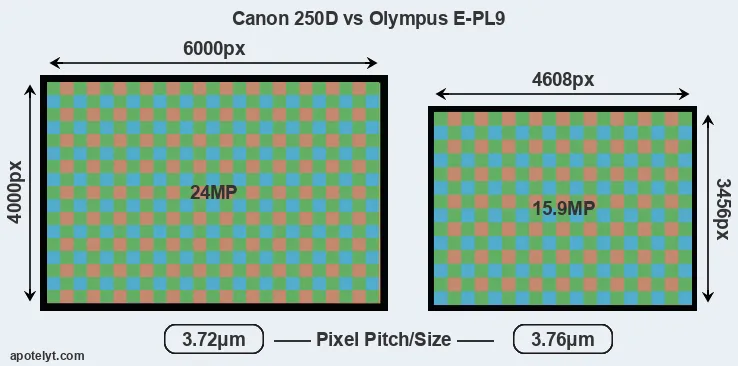 250D versus E-PL9 MP