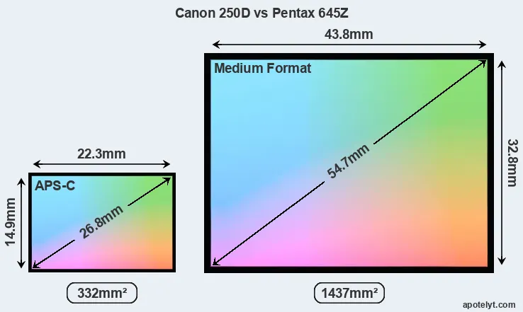 Canon 250D and Pentax 645Z sensor measures