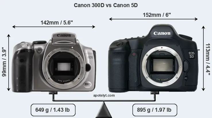 Size Canon 300D vs Canon 5D
