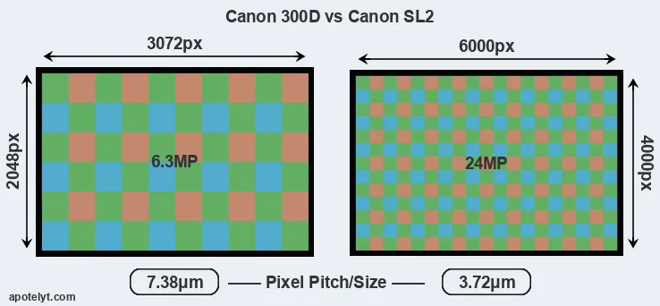 300D versus SL2 MP