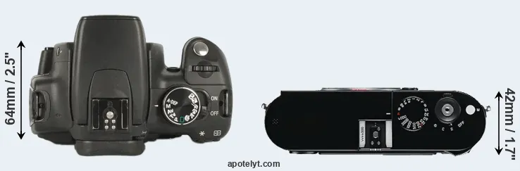 Compare 350D versus M Typ 240 top