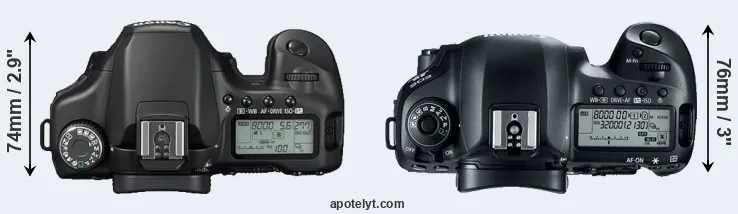 Compare 40D versus 5D Mark IV top