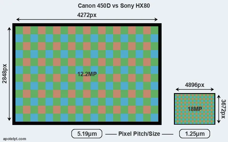 450D versus HX80 MP