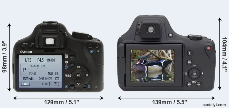 Comparison 500D or AZ901 rear