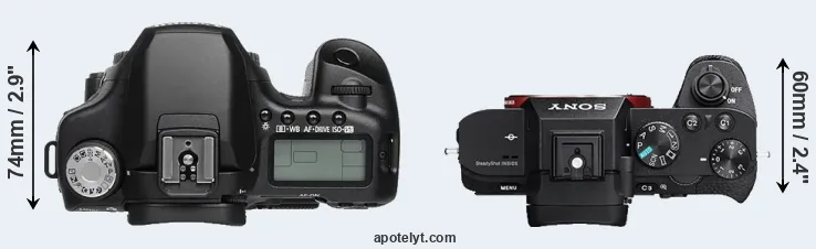 Compare 50D versus A7R II top