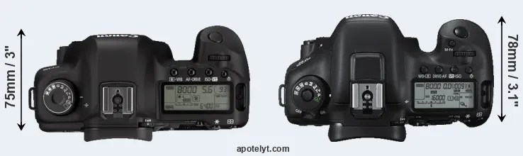 Compare 5D Mark II versus 7D Mark II top