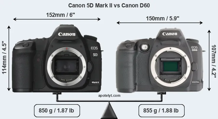 Size Canon 5D Mark II vs Canon D60