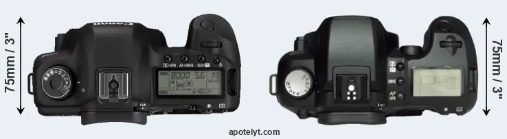 Compare 5D Mark II versus D60 top