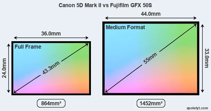 Canon 5D Mark II and Fujifilm GFX 50S sensor measures