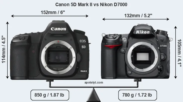 Size Canon 5D Mark II vs Nikon D7000
