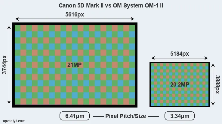 5D Mark II versus OM-1 II MP