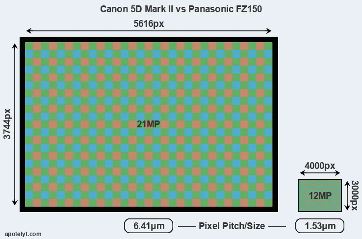 5D Mark II versus FZ150 MP