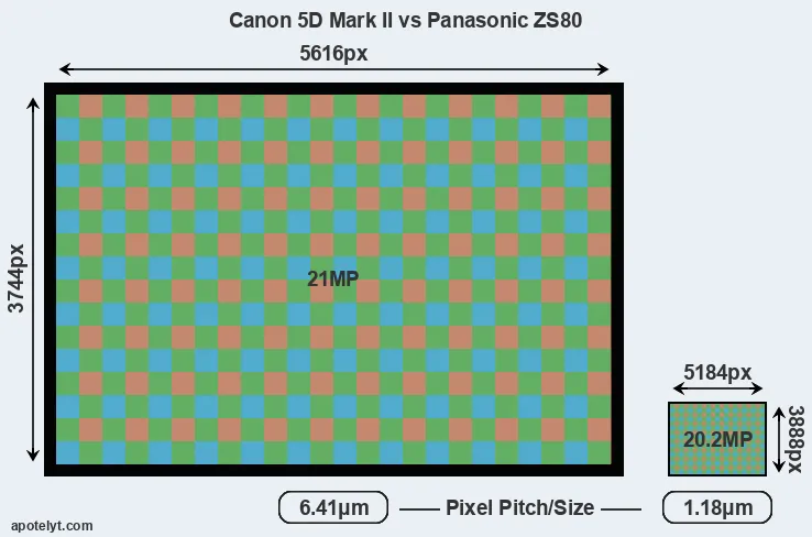 5D Mark II versus ZS80 MP