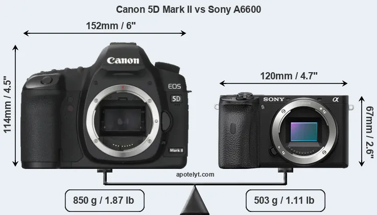 Size Canon 5D Mark II vs Sony A6600