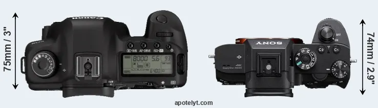 Compare 5D Mark II versus A7R III top