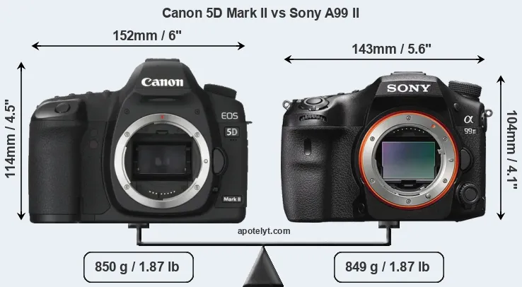 Size Canon 5D Mark II vs Sony A99 II