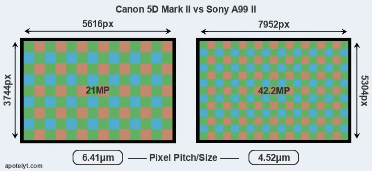 5D Mark II versus A99 II MP