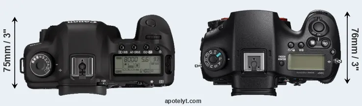Compare 5D Mark II versus A99 II top