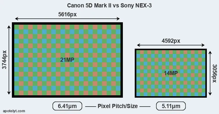 5D Mark II versus NEX-3 MP