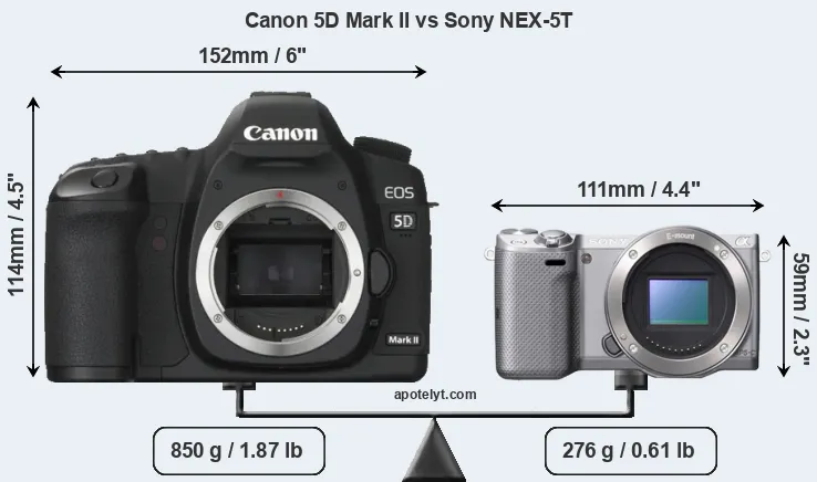 Size Canon 5D Mark II vs Sony NEX-5T