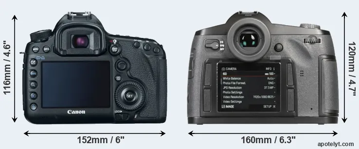 Comparison 5D Mark III or S-E Typ 006 rear