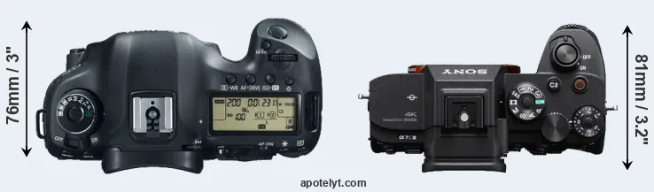 Compare 5D Mark III versus A7S III top