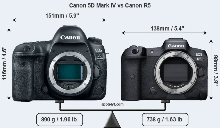 Size Canon 5D Mark IV vs Canon R5