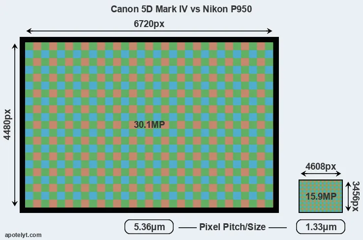 5D Mark IV versus P950 MP