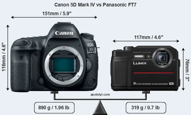Size Canon 5D Mark IV vs Panasonic FT7