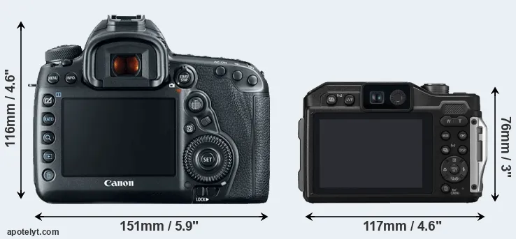 Comparison 5D Mark IV or FT7 rear