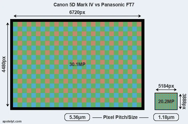 5D Mark IV versus FT7 MP
