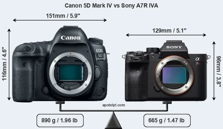 Size Canon 5D Mark IV vs Sony A7R IVA