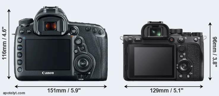 Comparison 5D Mark IV or A7R IVA rear