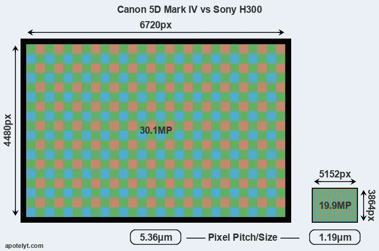 5D Mark IV versus H300 MP