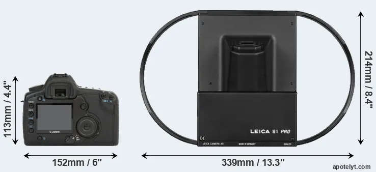 Comparison 5D or S1 rear