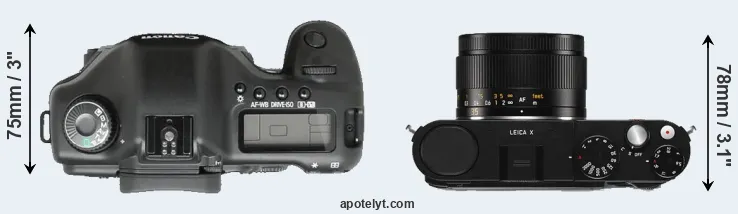 Compare 5D versus X Typ 113 top