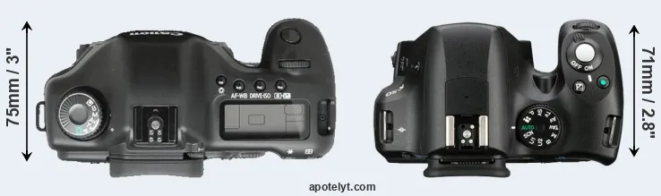 Compare 5D versus K-50 top