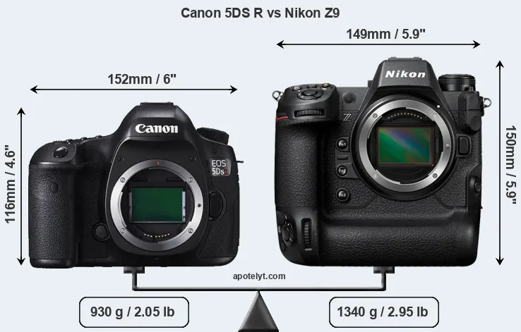 Size Canon 5DS R vs Nikon Z9