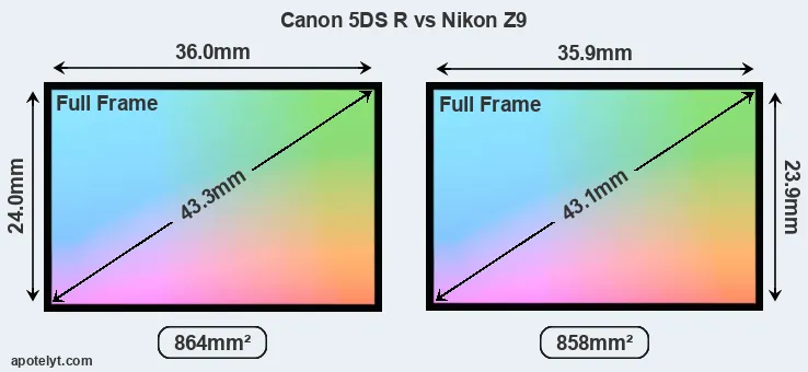 Canon 5DS R and Nikon Z9 sensor measures