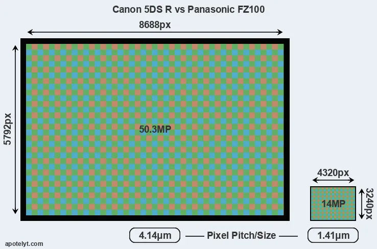 5DS R versus FZ100 MP