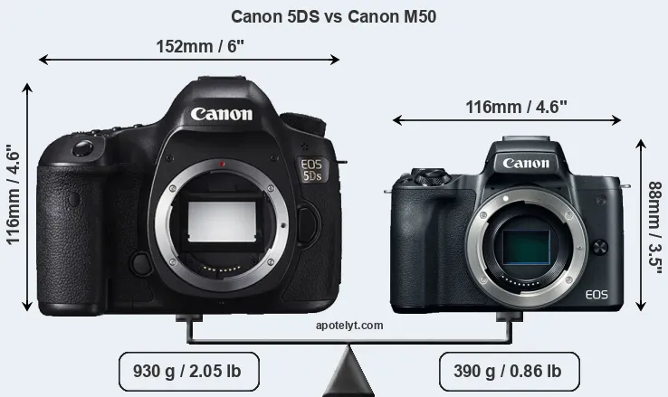 Size Canon 5DS vs Canon M50