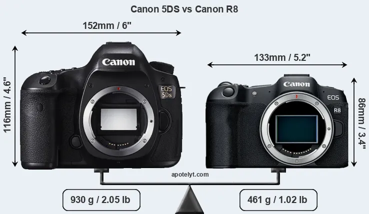 Size Canon 5DS vs Canon R8