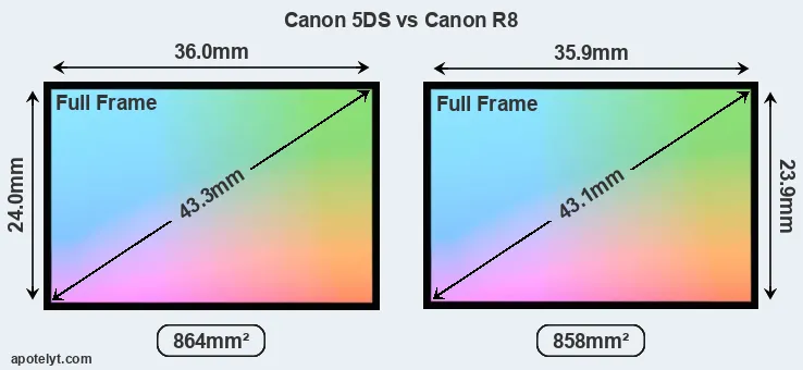 Canon 5DS and Canon R8 sensor measures