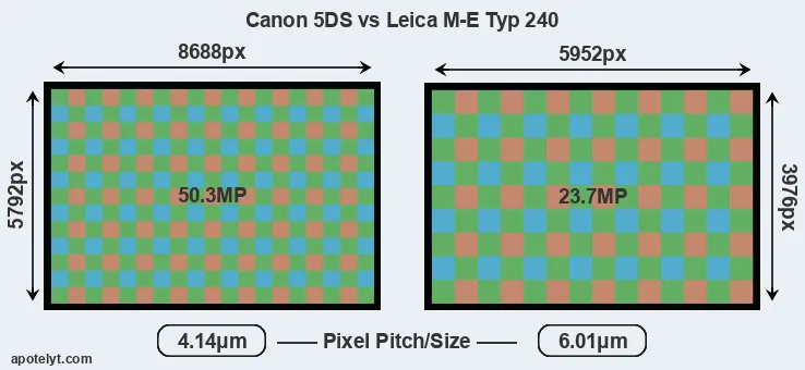 5DS versus M-E Typ 240 MP