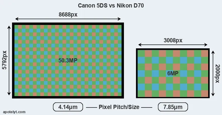 5DS versus D70 MP