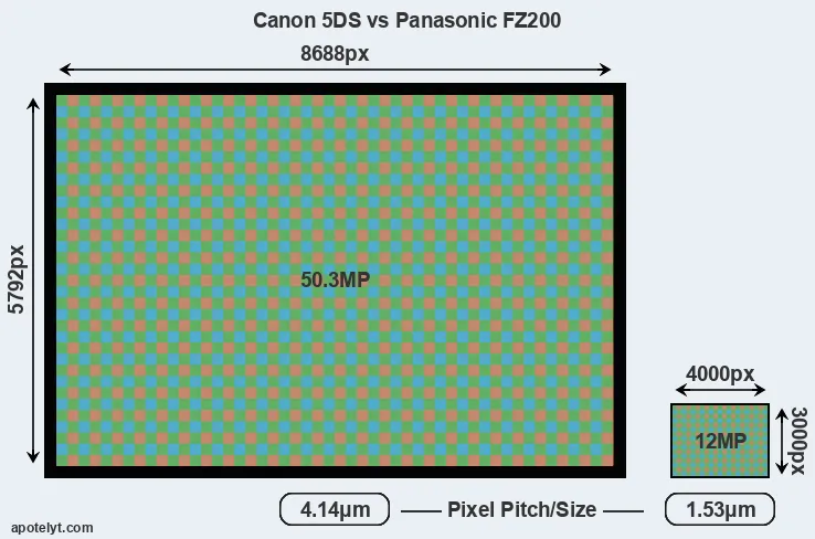 5DS versus FZ200 MP
