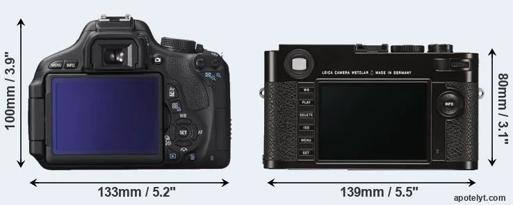 Comparison 600D or M Typ 262 rear
