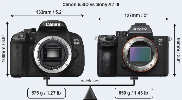 Size Canon 650D vs Sony A7 III