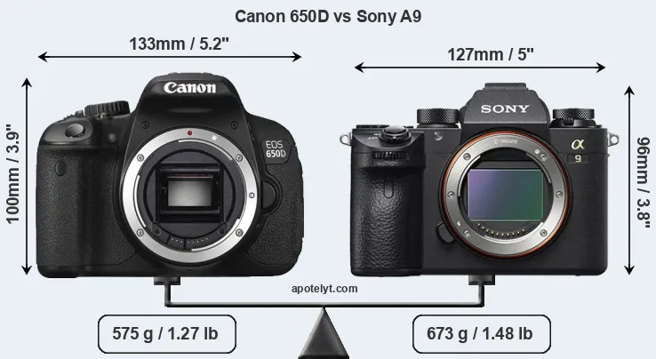 Size Canon 650D vs Sony A9