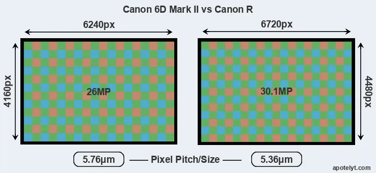 6D Mark II versus Canon R MP